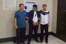 古田清数公司哪家好？揭秘古田地区数据服务行业的佼佼者